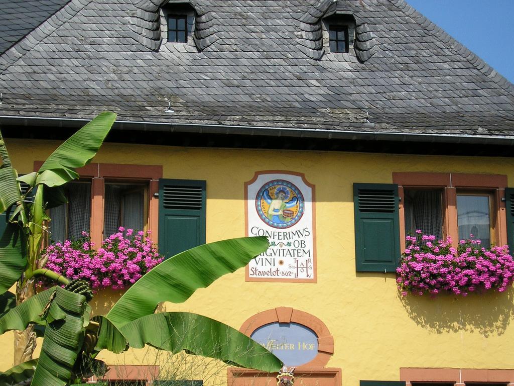Bio-Weingut Staffelter Hof Guest House เคิร์ฟ ภายนอก รูปภาพ